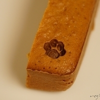 2015.04.02-007.JPG