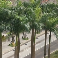 2008.03.22-A350-001.jpg