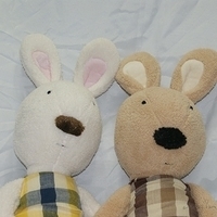 2008.05.01-004.JPG