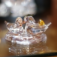 2009.03.23-002.jpg