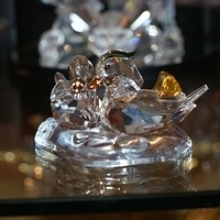 2009.03.23-004.jpg