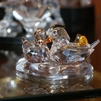 2009.03.23-005.jpg