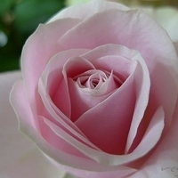 2009.05.16-002.jpg