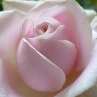 2009.05.16-003.jpg