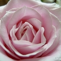 2009.05.16-007.jpg