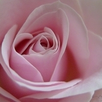 2009.05.16-009.jpg