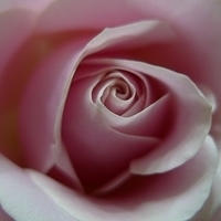 2009.05.16-012.jpg