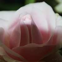 2009.05.18-001.jpg