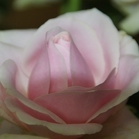 2009.05.18-002.jpg