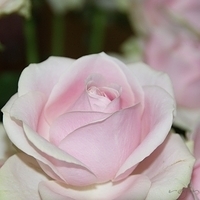 2009.05.18-011.jpg