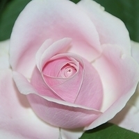2009.05.18-014.jpg