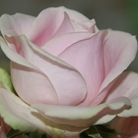 2009.05.18-021.jpg