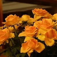 2009.05.18-024.jpg