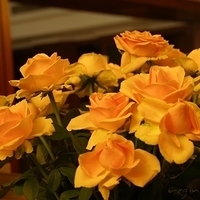 2009.05.18-026.jpg