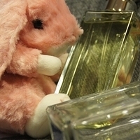 2010.12.13-003.JPG