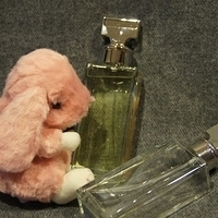 2010.12.13-004.JPG