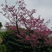 2011.02.23.jpg