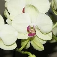 2011.05.10-002.JPG