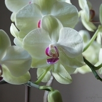 2011.05.10-003.JPG