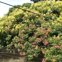 2011.09.24-002.JPG