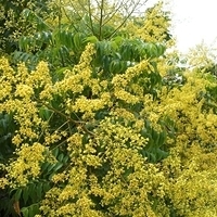 2011.09.24-003.JPG