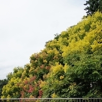 2011.09.24-004.JPG