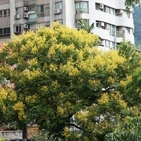 2011.09.24-005.JPG