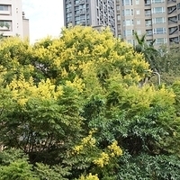 2011.09.24-006.JPG