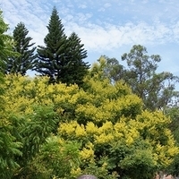 2011.09.24-007.JPG