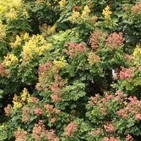 2011.09.24-008.jpg