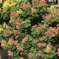 2011.09.24-009.jpg
