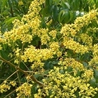 2011.09.24-010.jpg
