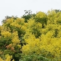 2011.09.24-011.jpg