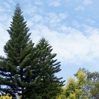 2011.09.24-012.jpg