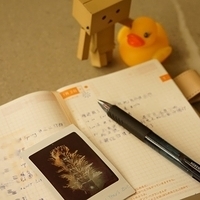 2014.01.02-002.jpg