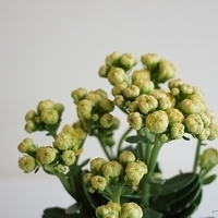 2014.02.04-002.JPG