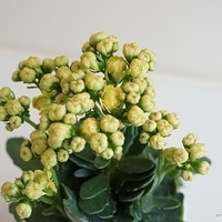 2014.02.04-004.JPG