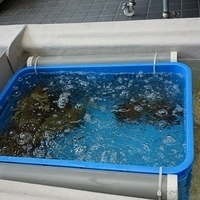 2012.07.26-003.JPG