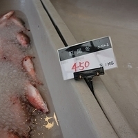 2012.07.26-004.JPG