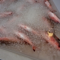 2012.07.26-005.JPG