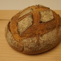 2011.10.22-002.JPG