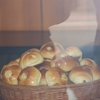 2008.11.21-009.JPG
