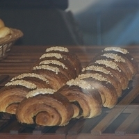 2008.11.21-018.JPG