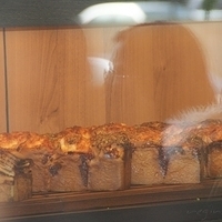 2008.11.21-019.JPG