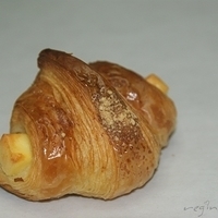 2008.11.21-030.JPG