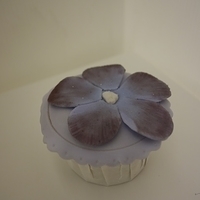2013.04.20-cakeplay-003.JPG