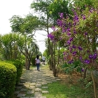 2011.09.04-001.JPG