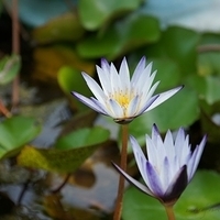2011.09.04-045.JPG