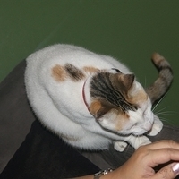 2008.11.13-012.JPG