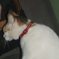2008.11.13-013.JPG